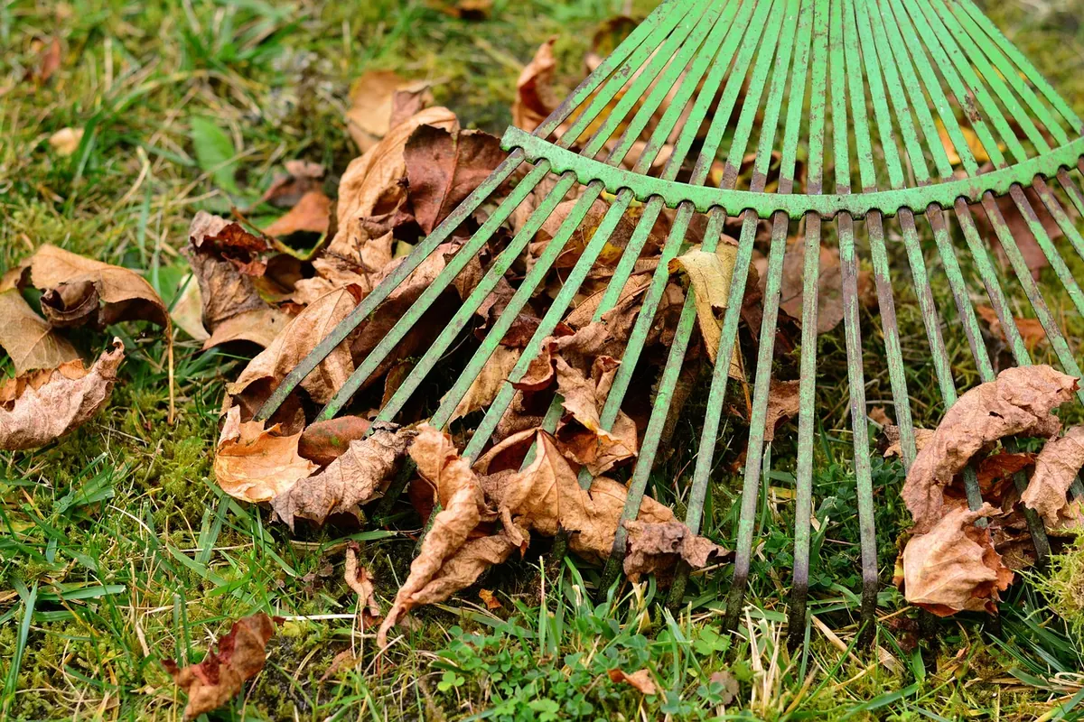 Autumn Lawn Care Checklist for UK Gardens: Scarifying, Aerating and Overseeding